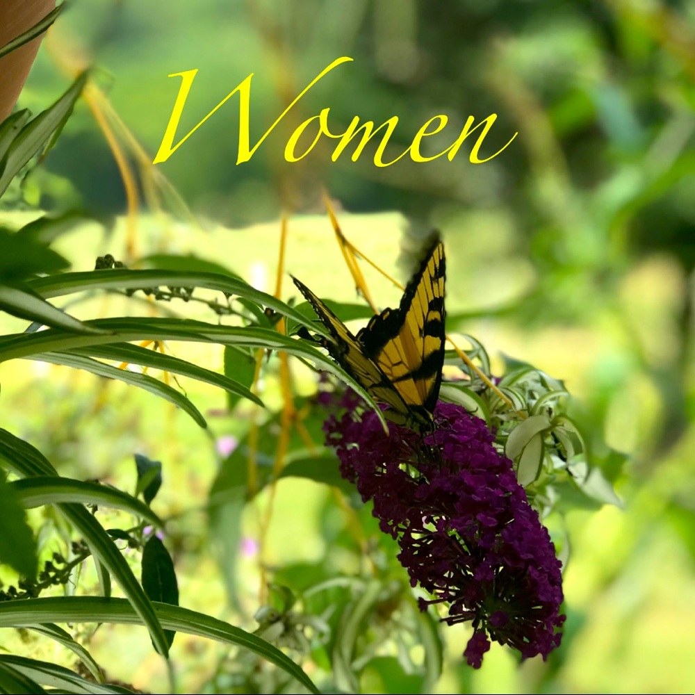 Womens clothing